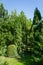 Beautiful landscaped garden with evergreens. Boxwood trees and thuja occidentalis, Juniperus communis Horstmann in center