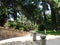 Beautiful landscaped garden full of beautiful blooming flowers and ornamental trees and fountain