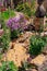 Beautiful landscaped natural garden with plants, succulents, rocks and stones