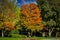 Beautiful landscaped neighborhood steet in autum with brightly colored seasonal leaves