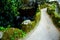 Beautiful landscapes of a green garden with paths, with a staircase and a pond. Sintra, day, Portugal