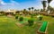 Beautiful landscaping with mowed lawns and flowering shrubs with mini golf course