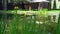 Beautiful landscaping with pond, plants and gazebo. Backyard garden landscaping. Landscape design.