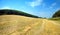 Beautiful landskape and road in a summer field