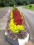 Beautiful lane and garden peradeniya university in srilanka