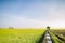 Beautiful lanscape of paddy field during harvesting over blue sky background