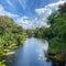 The beautiful lanscaping at Animal Kingdom at Walt Disney World in Orlando, Florida