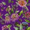 Beautiful lantana or brazil verbena flowers with green leaves on purple background. Seamless summer floral pattern.