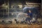 Beautiful Laos woman feeding chickens in countryside on farm background.