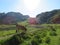 Beautiful large cows and well nourished by the green pastures of the mountain