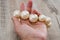 Beautiful large necklace in a female hand on a wooden background. Close-up. Big pearls.