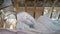 Beautiful large reclining Buddha which made from white Italian carrara marble with tourist walking around in Udon Thani