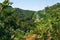 Beautiful large summer forest in mountains