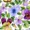 Beautiful large vivid viola flowers with green leaves on white background. Seamless spring or summer floral pattern.