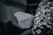 A beautiful Large White Butterfly perched on a blossom flower