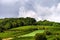 Beautiful lasacien autumnal landscape with green hills and viney