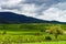 Beautiful lasacien autumnal landscape with green hills and viney