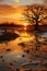 beautiful late autumn landscape after rain, a tree reflected in the water, dark sunset sky