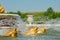 The beautiful Latona Fountain of Place of Versailles