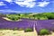 Beautiful lavander fields, Provane,