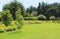 Beautiful lawn and bushes in summer garden