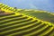The Beautiful layer of Mountain and nature in rice terrace of Vietnam Landscape