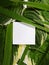 Beautiful Layout Made of Tropical Green Leaves and Empty White Paper Card For Copy Space. Minimal Natural Background