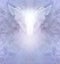 Beautiful Lilac Angel Healing Therapy Award Diploma Certificate Announcement Background Template