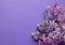 Beautiful lilac flowers and semi-precious amethyst druze lie on a purple background. Copy space