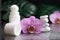 Beautiful lilac orchid flower and white roll-on deodorant with white stones and monstera leaves on black wet background