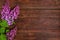 The beautiful lilac on a wooden background