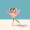 A beautiful lily blossom flower. Blue sky and beige background. Lovely solitary concept