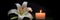 a Beautiful lily and burning candle on black background