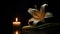 a Beautiful lily and burning candle on black background