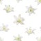 Beautiful lily flowers falling on white background