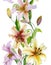 Beautiful lily flowers with green leaves on white background. Seamless floral pattern. Straight and narrow.