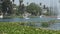 Beautiful lily pad in a lake with a fountain