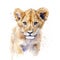 Beautiful lion cub, isolated on white background. Digital watercolour illustration