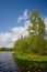 Beautiful Lithuania nature .Swamp Musa near Latvian border .