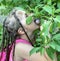 Beautiful little girl. A girl with African pigtails eats plums.