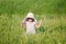 A beautiful little girl with a hat in a grain fiel