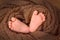 Beautiful little heels of a newborn baby wrapped in a brown knitted piece of cloth