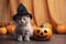 beautiful little scottish tabby cat with halloween hat