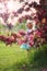 Beautiful Little Toddler Girl Standing Under Flowering Crabapple Tree Smiling