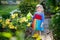 Beautiful little toddler girl in yellow rubber boots and colorful dress watering spring flowers with kids water can
