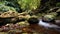 Beautiful little waterfall. Stream in Madeira, serene nature video timelapse