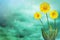 Beautiful live coreopsis on sunny day with empty on colored sky with clouds background