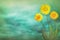 Beautiful live daisy or camomile with empty on left on colored sky with clouds background. Floral spring or summer flowers concept