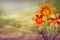 Beautiful live lily with empty on left on colored sky with clouds background. Floral spring or summer flowers concept