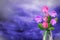 Beautiful live petunia bouquet bouquet in glass vase with blank place for your text on left on colored sky with clouds background.
